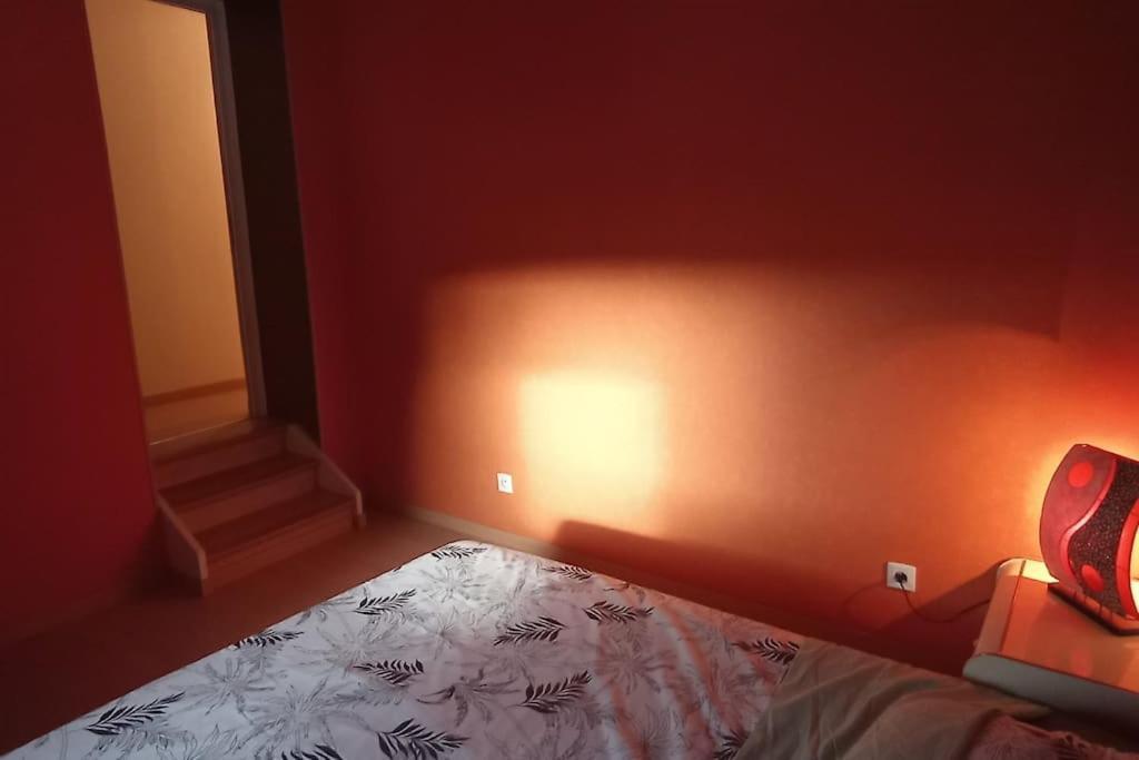 Glaieul * Celles-sur-Plaine